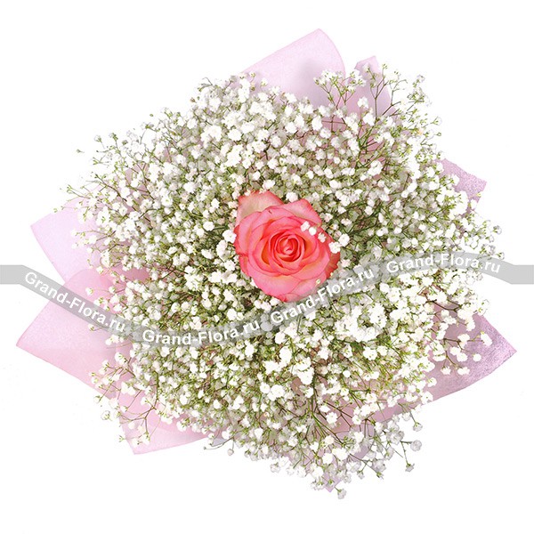Розовая роза с гипсофилой - Любовь принцессы 